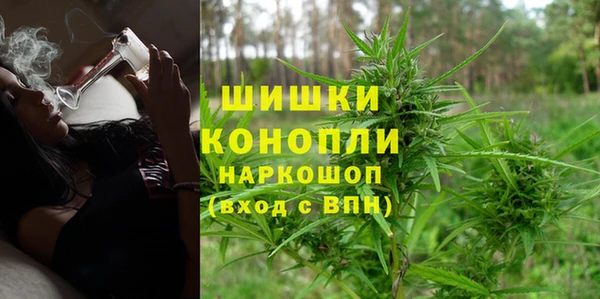 PSILOCYBIN Козельск