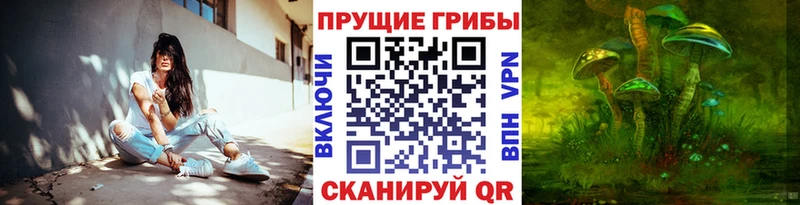 Галлюциногенные грибы мицелий дарк нет состав Ельня